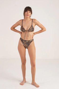 French Brief Tigre